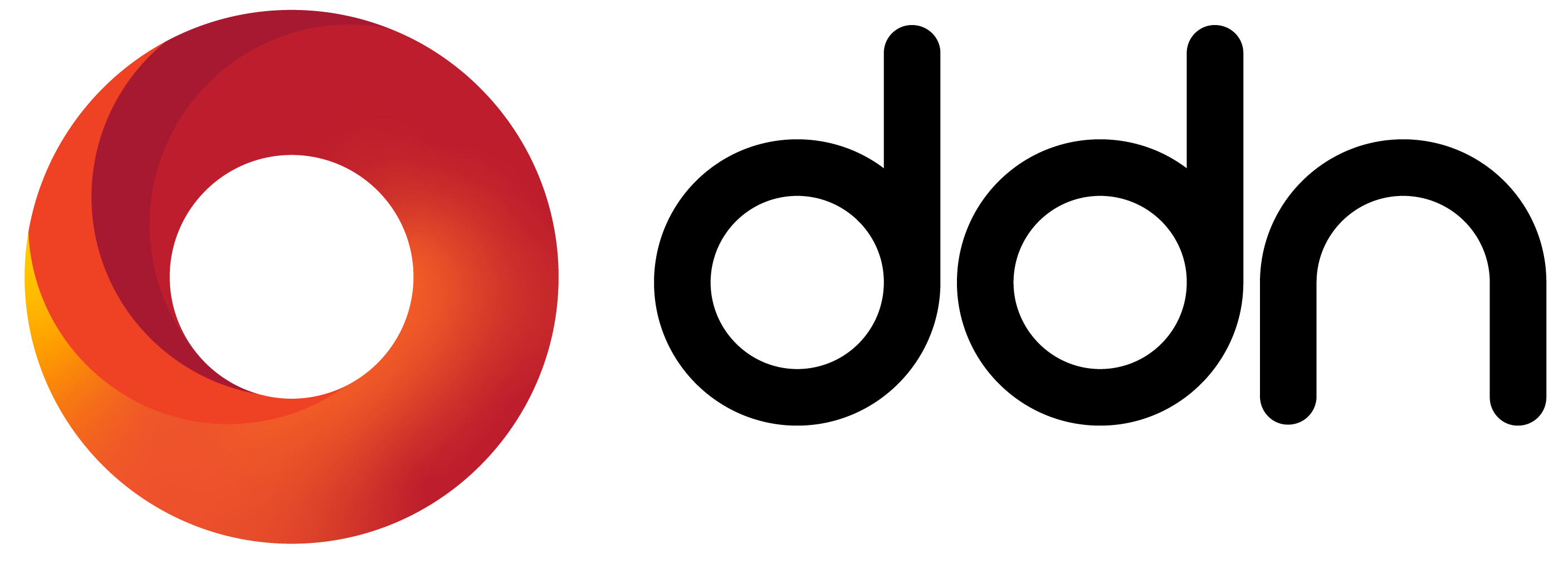 DDN Logo